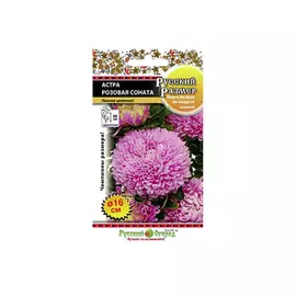 Цветы астра Русский огород розовая соната