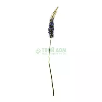 Цветы DPI 42596-06