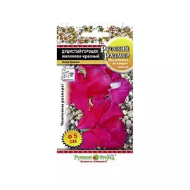 Цветы душистый горошек Русский огород малиново-красный