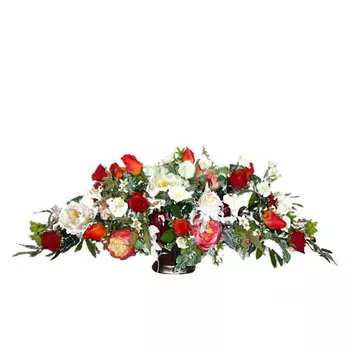 Цветы Фитопарк Огни москвы 010бс08-2