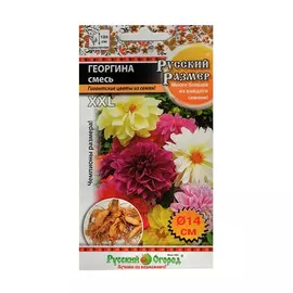 Цветы георгина Русский огород Русский размер смесь