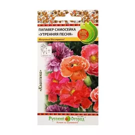 Цветы папавер Русский огород самосейка утренняя песня