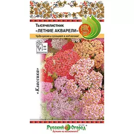 Цветы Русский огород Тысячелистник летние акварели