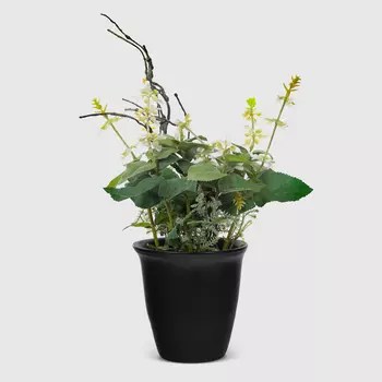 Цветы в горшке Конэко-О