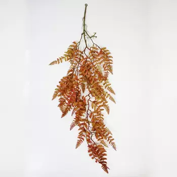 Даваллия Конэко-О ампельная 5551094, 90 см