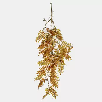 Даваллия Конэко-О ампельная 5551096, 90 см