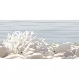 Декор Alma Ceramica Del Mare DWU09DLM624 24,9х50 см