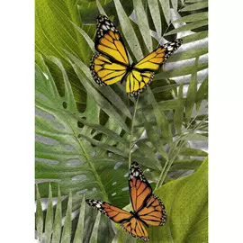 Декор Cersanit Tropicana 25x35 см TC2M021DT