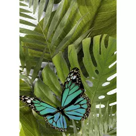Декор Cersanit Tropicana 25x35 см TC2M022DT