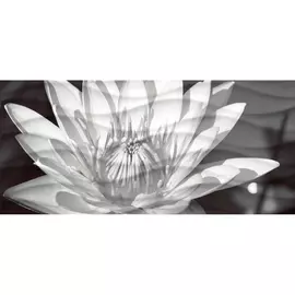 Декор Cersanit Wave Black Flowers 20х44 см WA2G441D