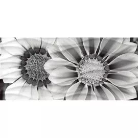 Декор Cersanit Wave Black Flowers 20х44 см WA2G443D