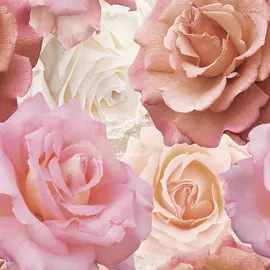Декор Cersanit Wave Roses 44х44 см WA6E452DT