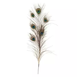 Декор Goodwill deco перо Павлина 76 см