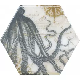 Декор Kerama Marazzi 20x23,1 см HGD/A335/24020