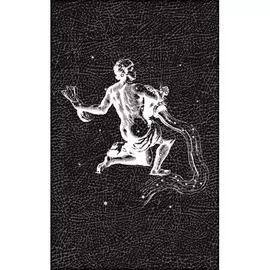 Декор PiezaRosa Таурус Зодиак Водолей 40x25 см