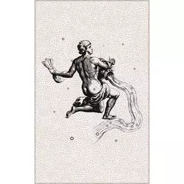 Декор PiezaRosa Таурус Зодиак Водолей 40x25 см