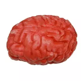 Декорация China Elecal International мозг 6х13 см красный