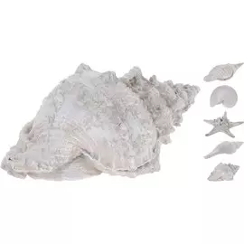 Декорация Koopman морская ракушка 205х195х65мм