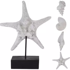 Декорация Koopman звезда/ракушка 200х65х270мм