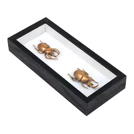 Декорация настенная Koopman насекомые 11х26