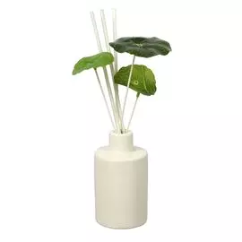 Диффузор Aroma republic Canada Зелёное Яблоко 50 мл