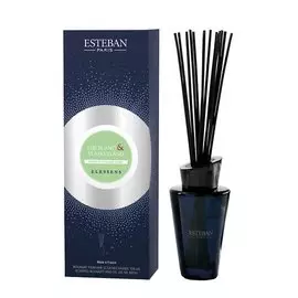 Диффузор Esteban Elessens Иланг-иланг и Белый чай 150 мл