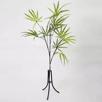 Дизиготека Конэко-О ветка зеленая 95 см