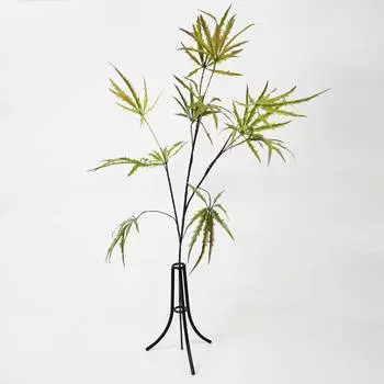 Дизиготека Конэко-О ветка зелено-желтая 95 см