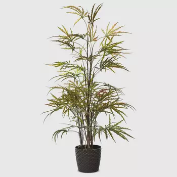 Дизиготека в кашпо Конэко-О 10127_x3_10125x2 95 см