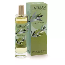Духи интерьерные Esteban Classic В тени Оливы 100 мл
