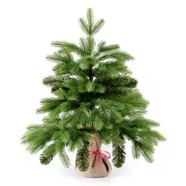Ель искусственная Царь-Ёлка Северное сияние 60 см (СВС-60)