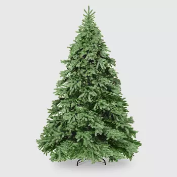 Ель National Tree Jersey Fraser Fir 240 см