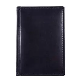 Ежедневник датированный Hatber на 2021 176 л А6 Caprice Thermo синий