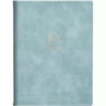 Еженедельник Infolio Study Snake датированный 2025 голубой 88 листов