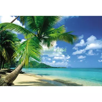 Фотообои Eurographics tropical beach 254x366 (DW-AU1070)