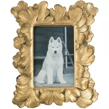 Фоторамка 10х15 Glasar 24х18х2 см