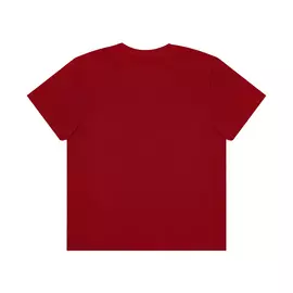 Футболка мужская AMADEY classic бордовая