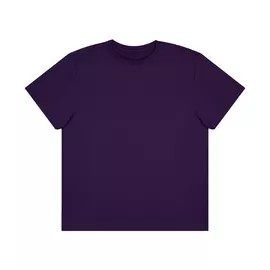 Футболка мужская AMADEY classic сливовая