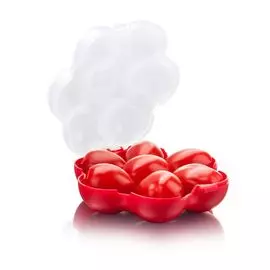 Футляр для переноски помидоров 14,8х9 см