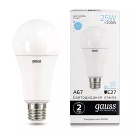 Лампа Gauss LED Elementary A67 25W E27 6500K