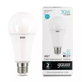 Gauss LED Elementary A67 30W E27 4100K 1/10/50