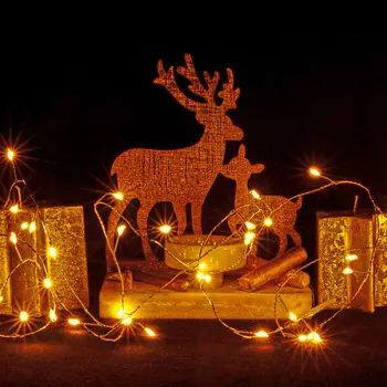 Гирлянда Lotti 42735 15 нитей 4+3,2 м со стартовым шнуром