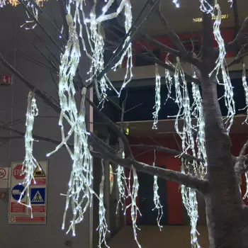 Гирлянда уличная Lotti 37045 со стартовым шнуром