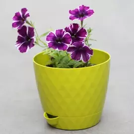 Горшок Пластавеню Румба 1л. Киви d-13.5 см