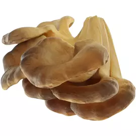 Грибы искусственные Edg ветвь 18 см