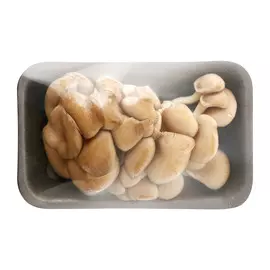 Грибы Вешенка ArtFruit 250 г