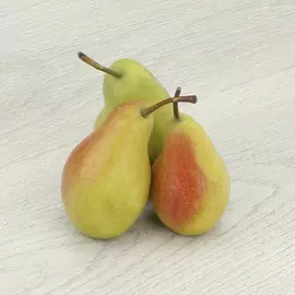 Груша Лесная красавица кг