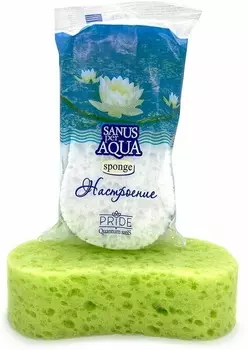 Губка банная Прайд Вдохновение