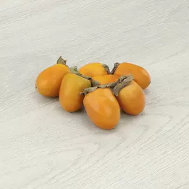 Хурма Свечка кг