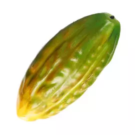 Искусственное какао Edg 17 см